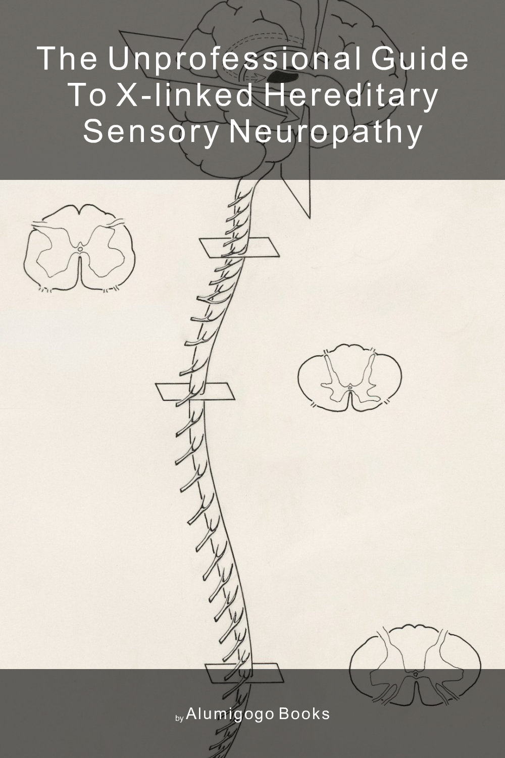 Cover of The Unprofessional Guide to X-linked hereditary sensory neuropathy