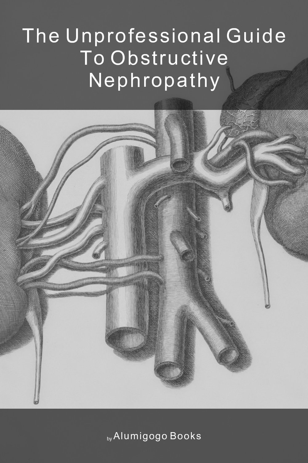 Cover of The Unprofessional Guide to obstructive nephropathy