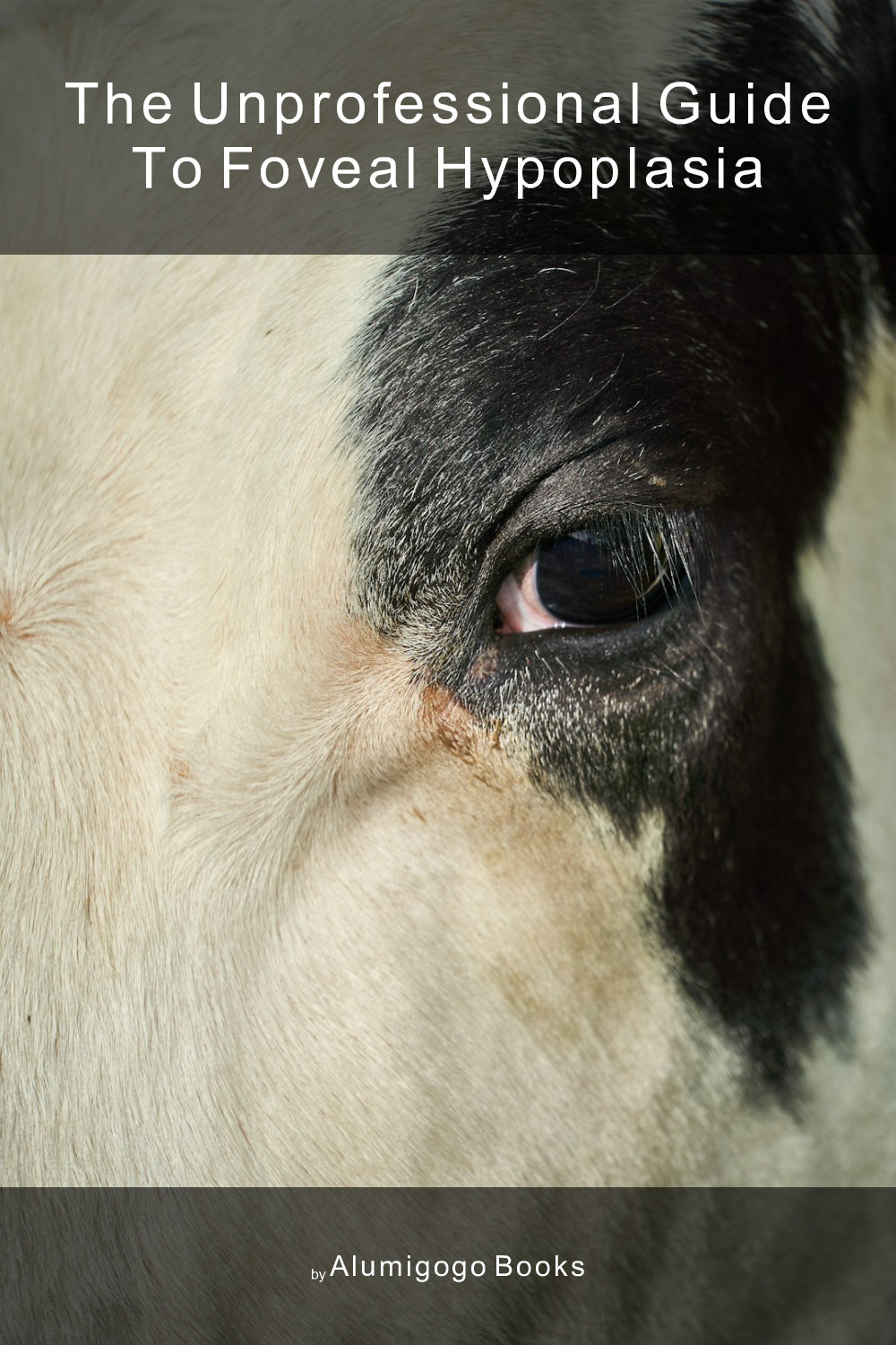 Cover of The Unprofessional Guide to foveal hypoplasia