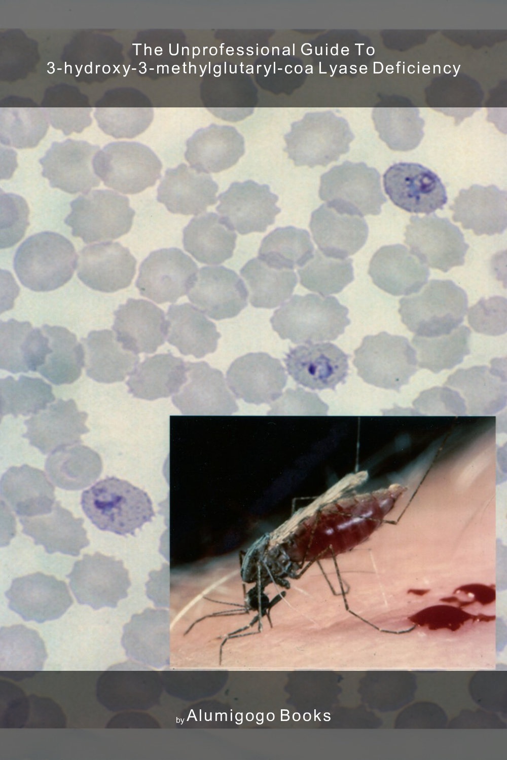 Cover of The Unprofessional Guide to 3-hydroxy-3-methylglutaryl-CoA lyase deficiency