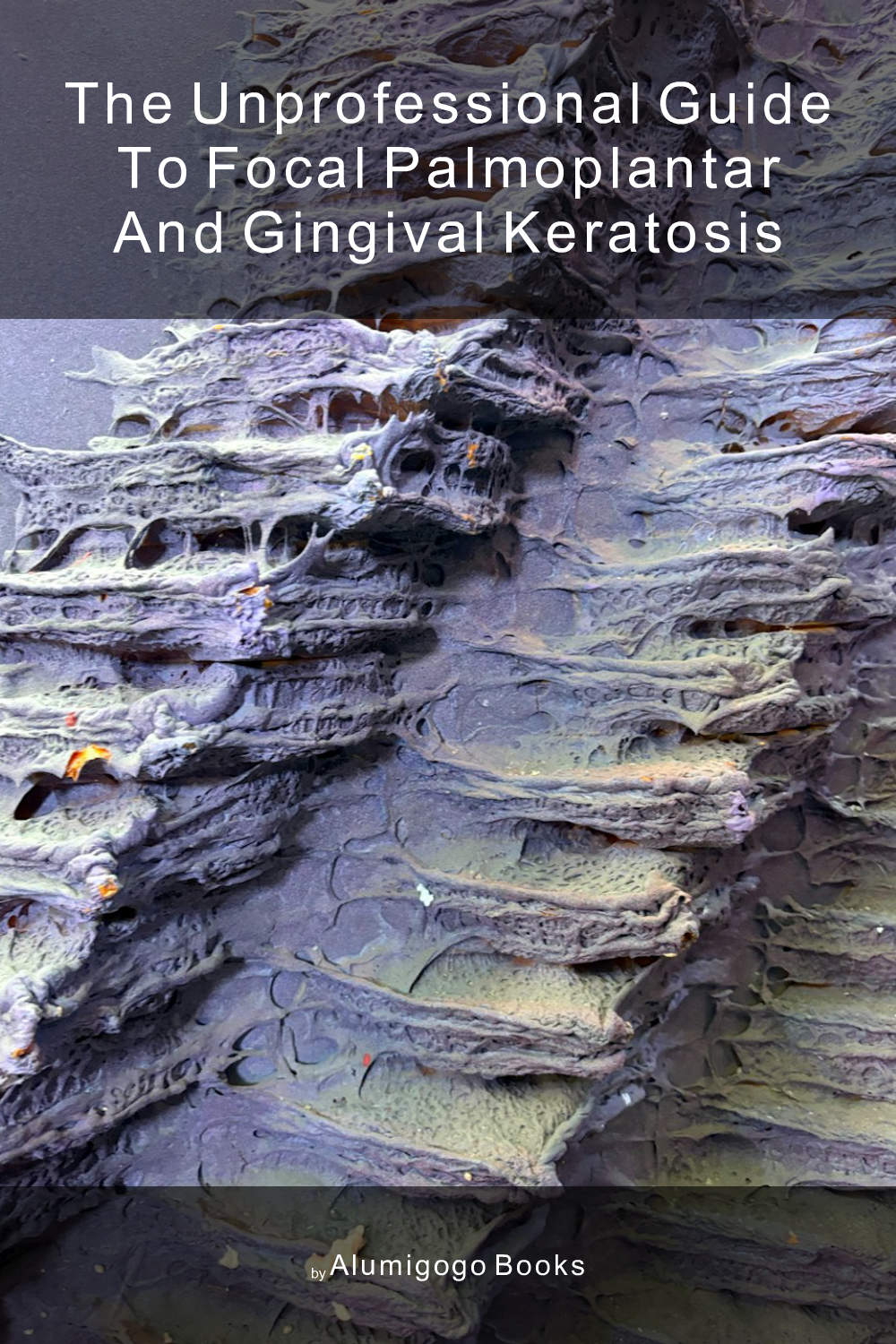Cover of The Unprofessional Guide to focal palmoplantar and gingival keratosis