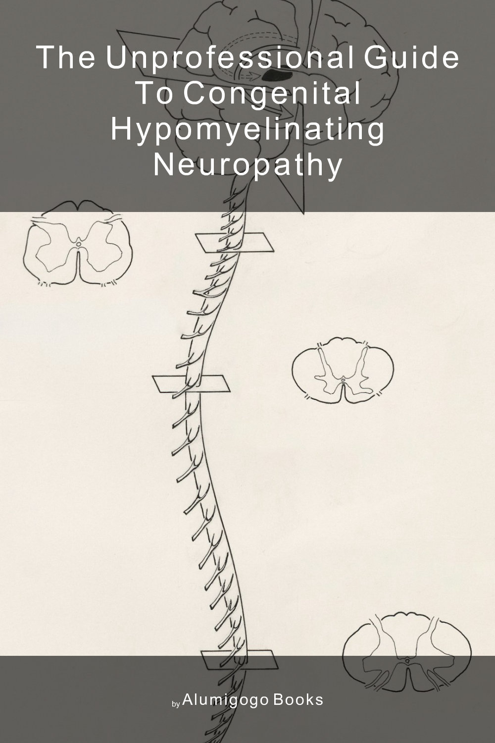 Cover of The Unprofessional Guide to congenital hypomyelinating neuropathy