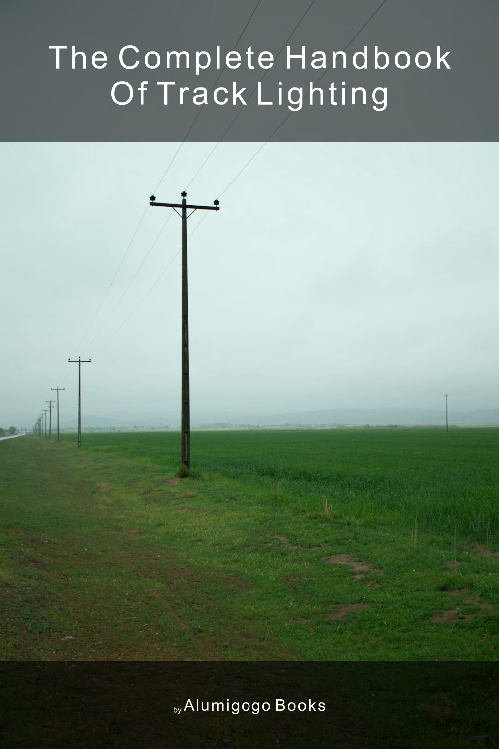 Cover of The Complete Handbook of Track Lighting