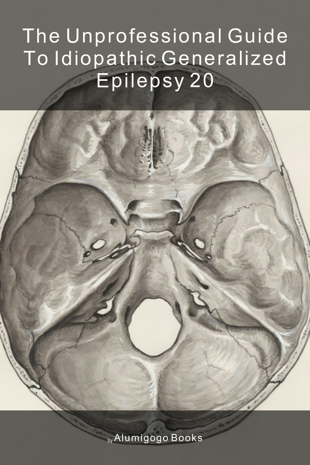 Cover of The Unprofessional Guide to idiopathic generalized epilepsy 20