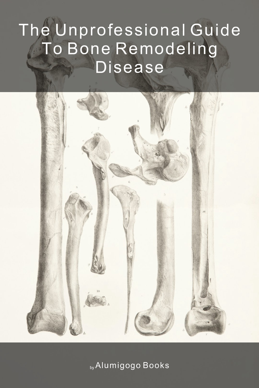 Cover of The Unprofessional Guide to bone remodeling disease