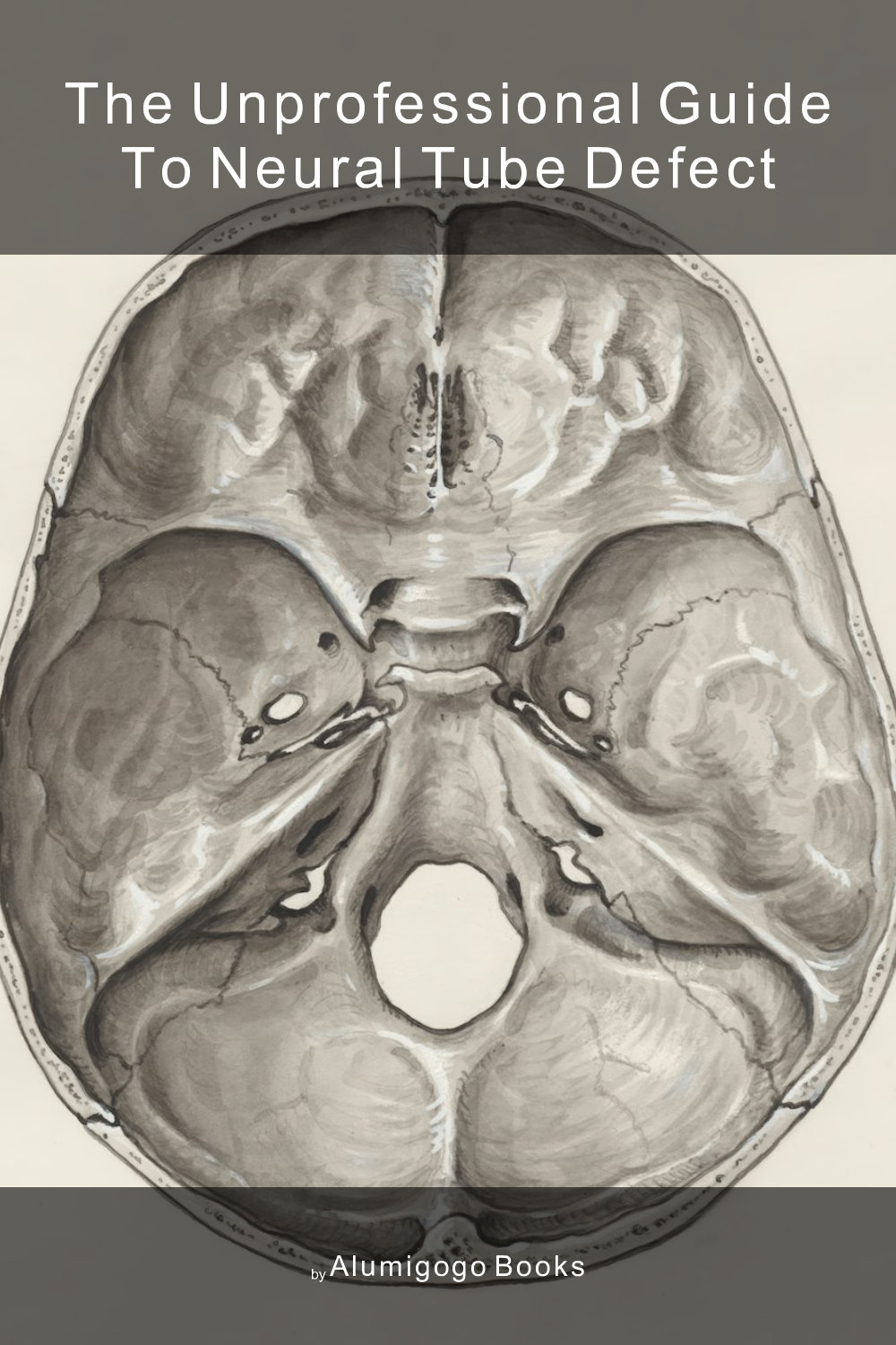 Cover of The Unprofessional Guide to neural tube defect