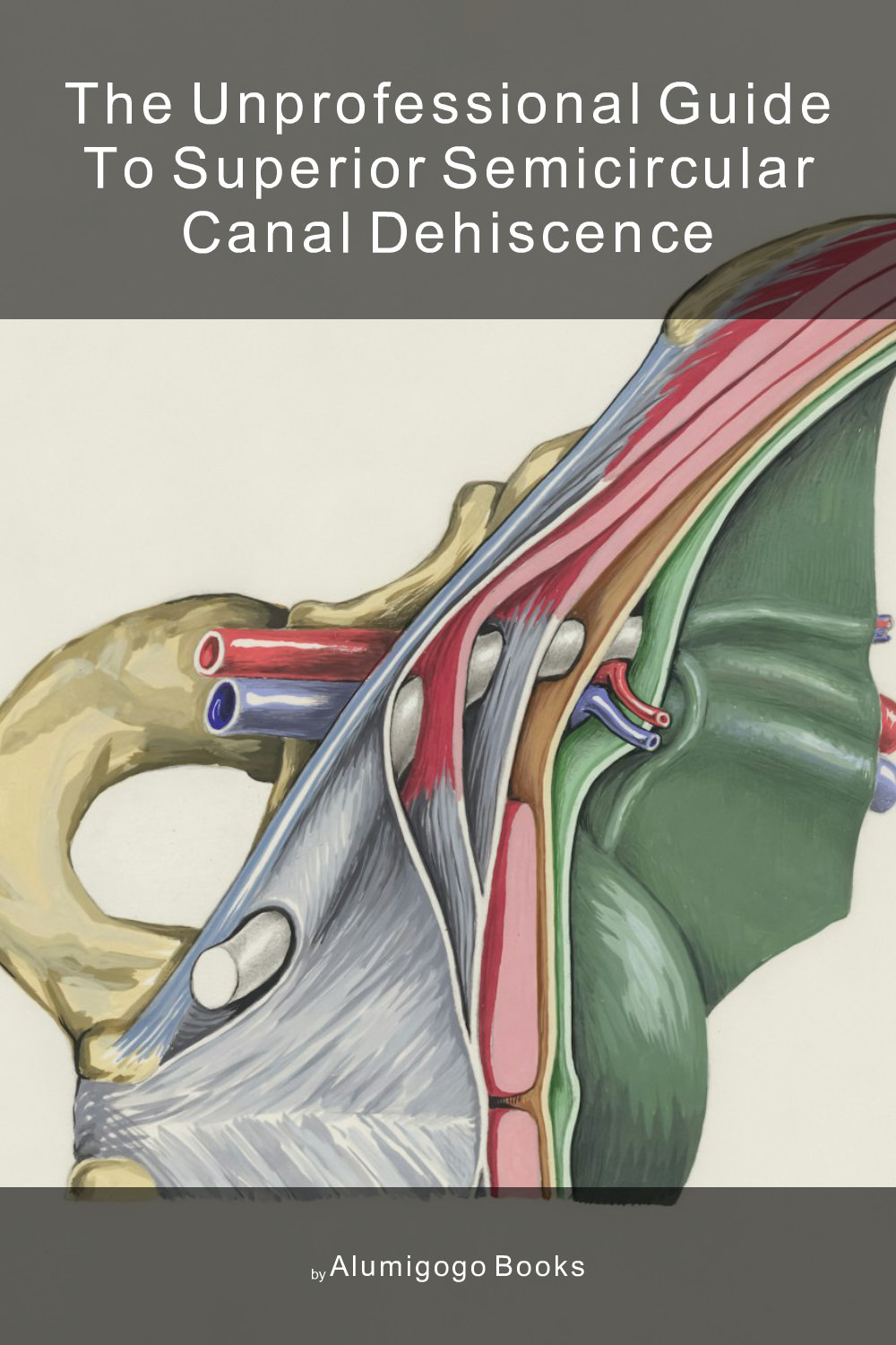 Cover of The Unprofessional Guide to superior semicircular canal dehiscence
