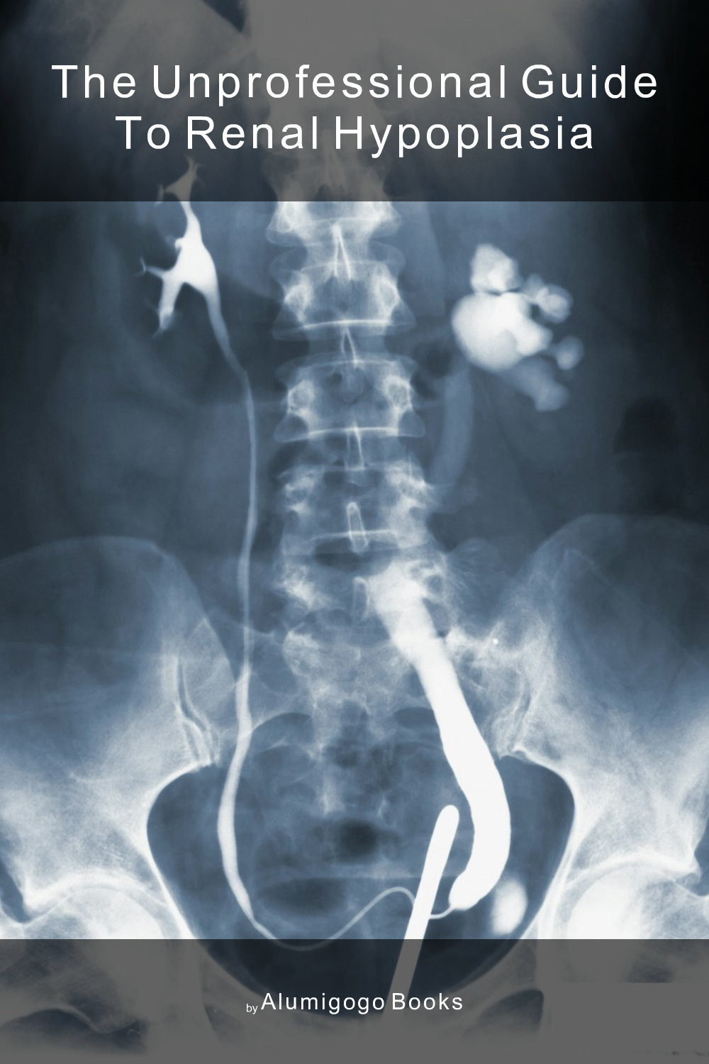 Cover of The Unprofessional Guide to renal hypoplasia