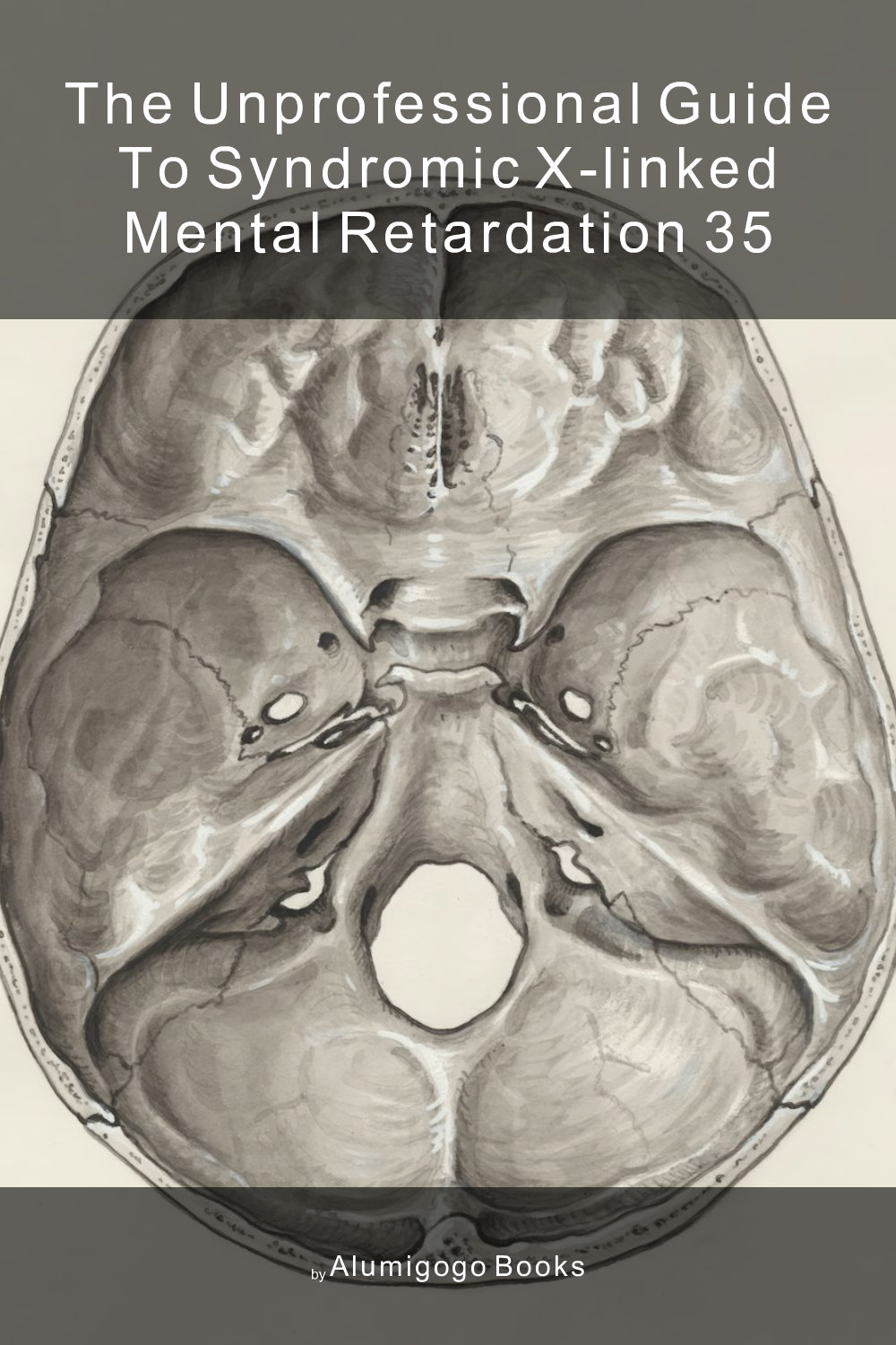 Cover of The Unprofessional Guide to syndromic X-linked mental retardation 35