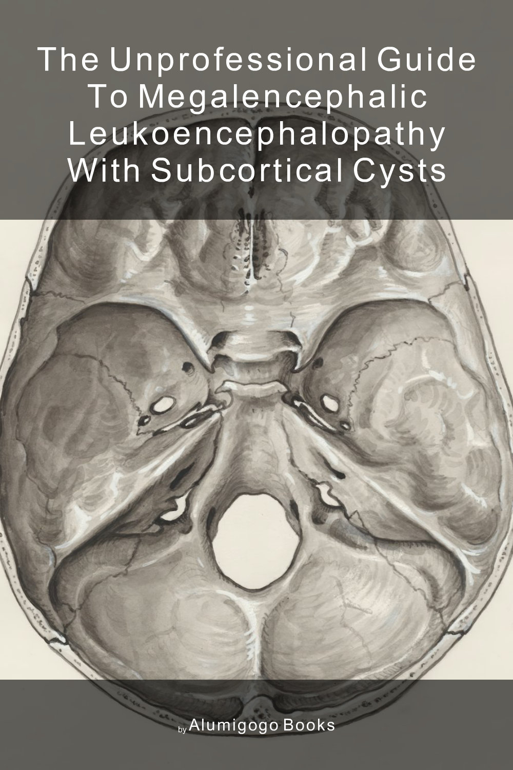Cover of The Unprofessional Guide to megalencephalic leukoencephalopathy with subcortical cysts