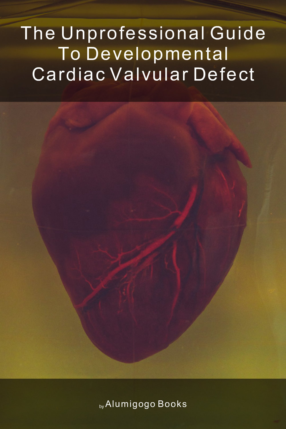 Cover of The Unprofessional Guide to developmental cardiac valvular defect