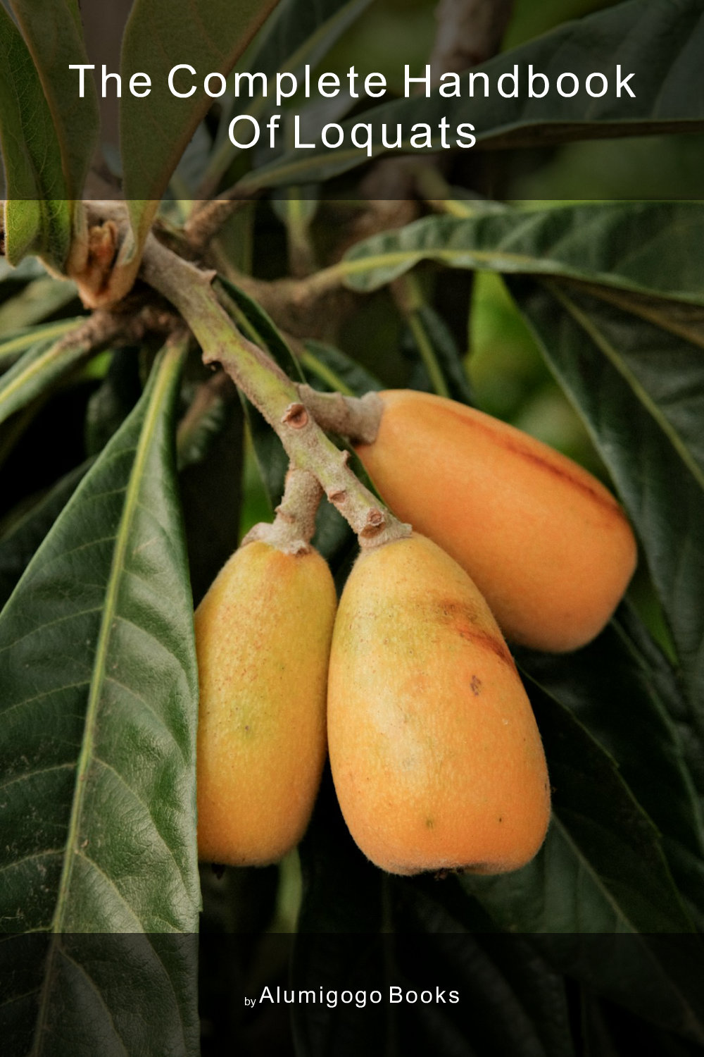 Cover of The Complete Handbook of Loquats