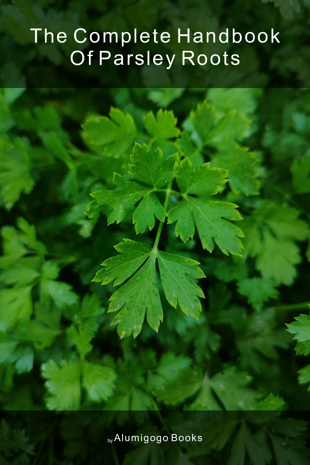 Cover of The Complete Handbook of Parsley Roots