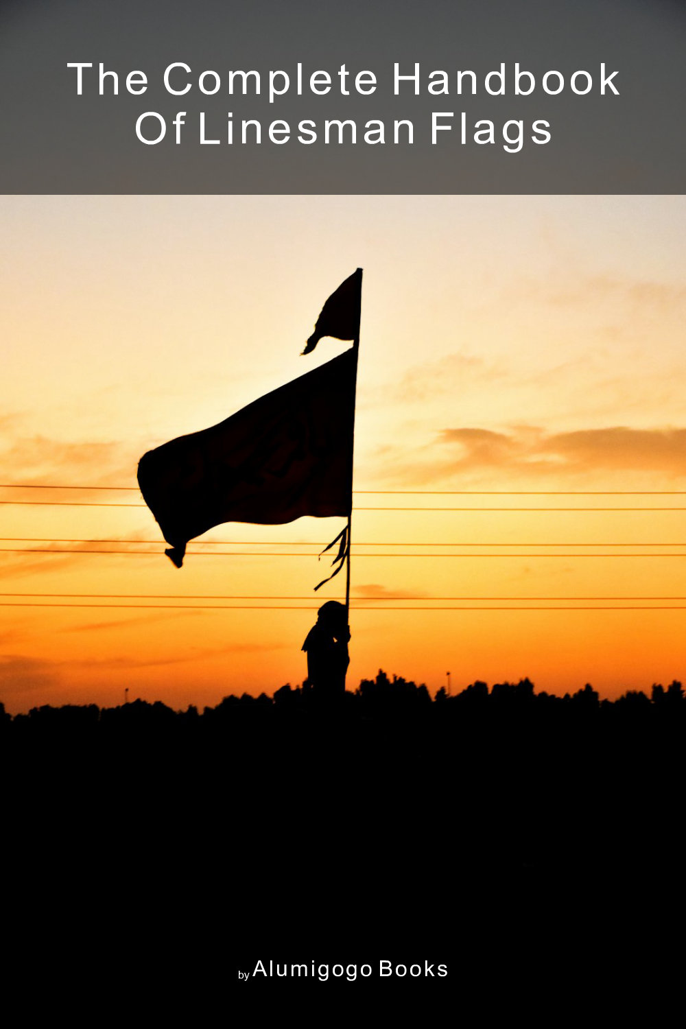 Cover of The Complete Handbook of Linesman Flags