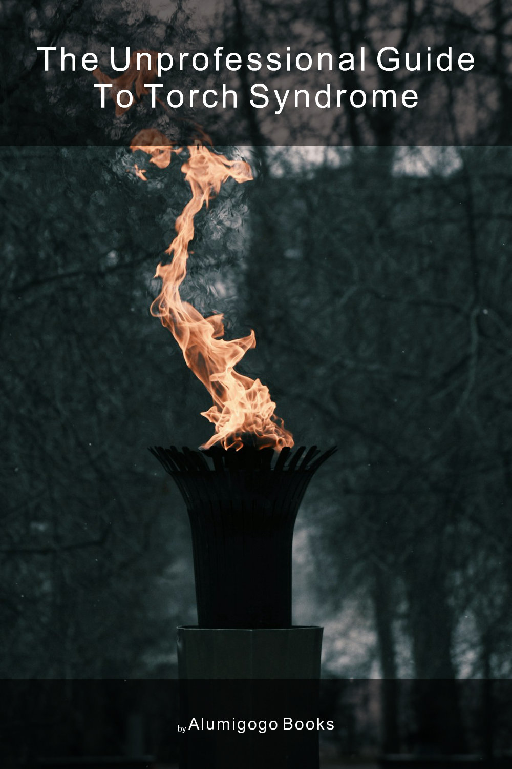Cover of The Unprofessional Guide to TORCH syndrome