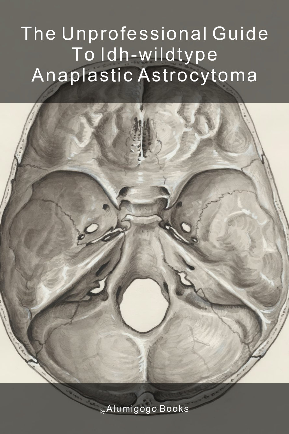 Cover of The Unprofessional Guide to IDH-wildtype anaplastic astrocytoma