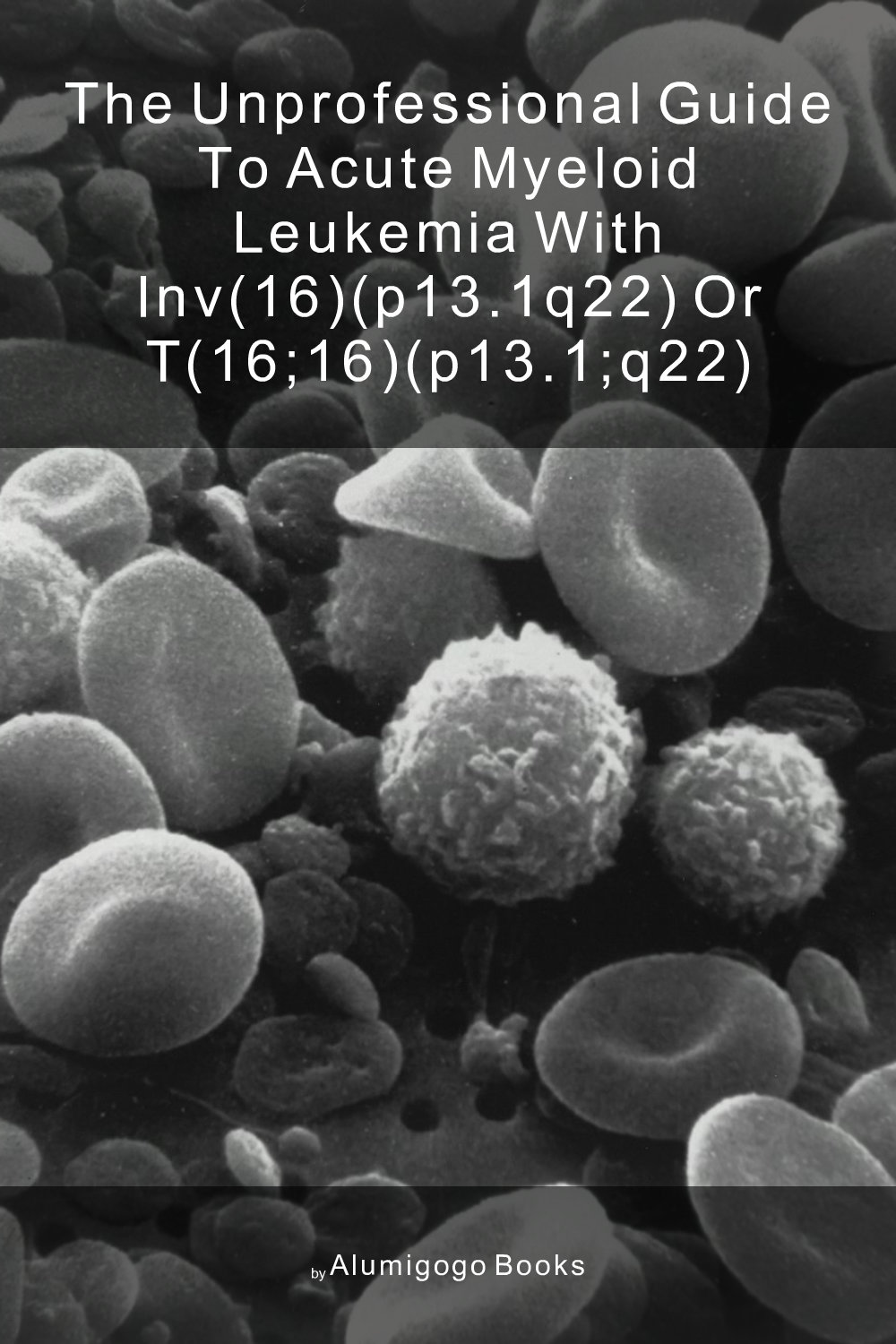 Cover of The Unprofessional Guide to acute myeloid leukemia with inv(16)(p13.1q22) or t(16;16)(p13.1;q22)