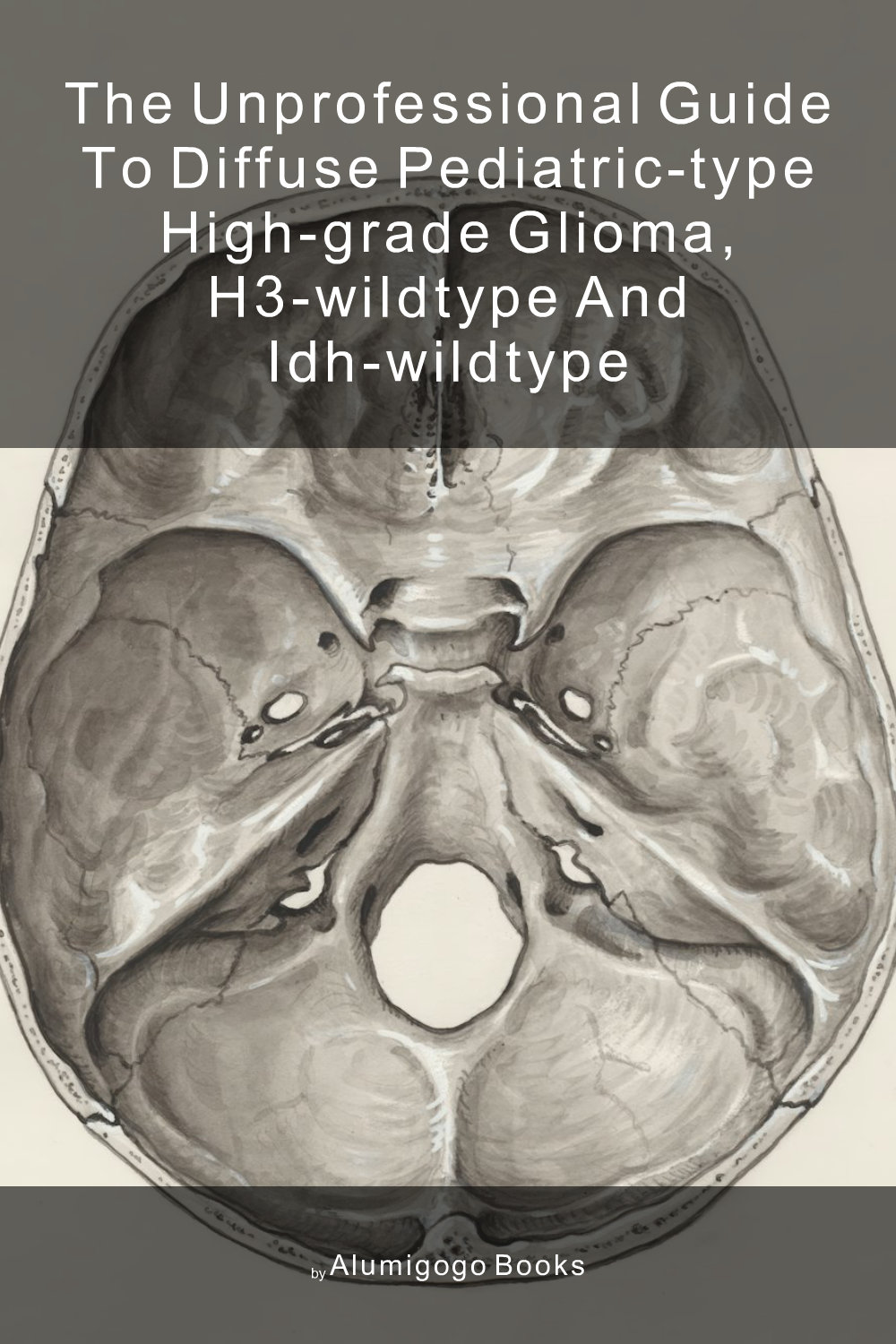 Cover of The Unprofessional Guide to diffuse pediatric-type high-grade glioma, H3-wildtype and IDH-wildtype