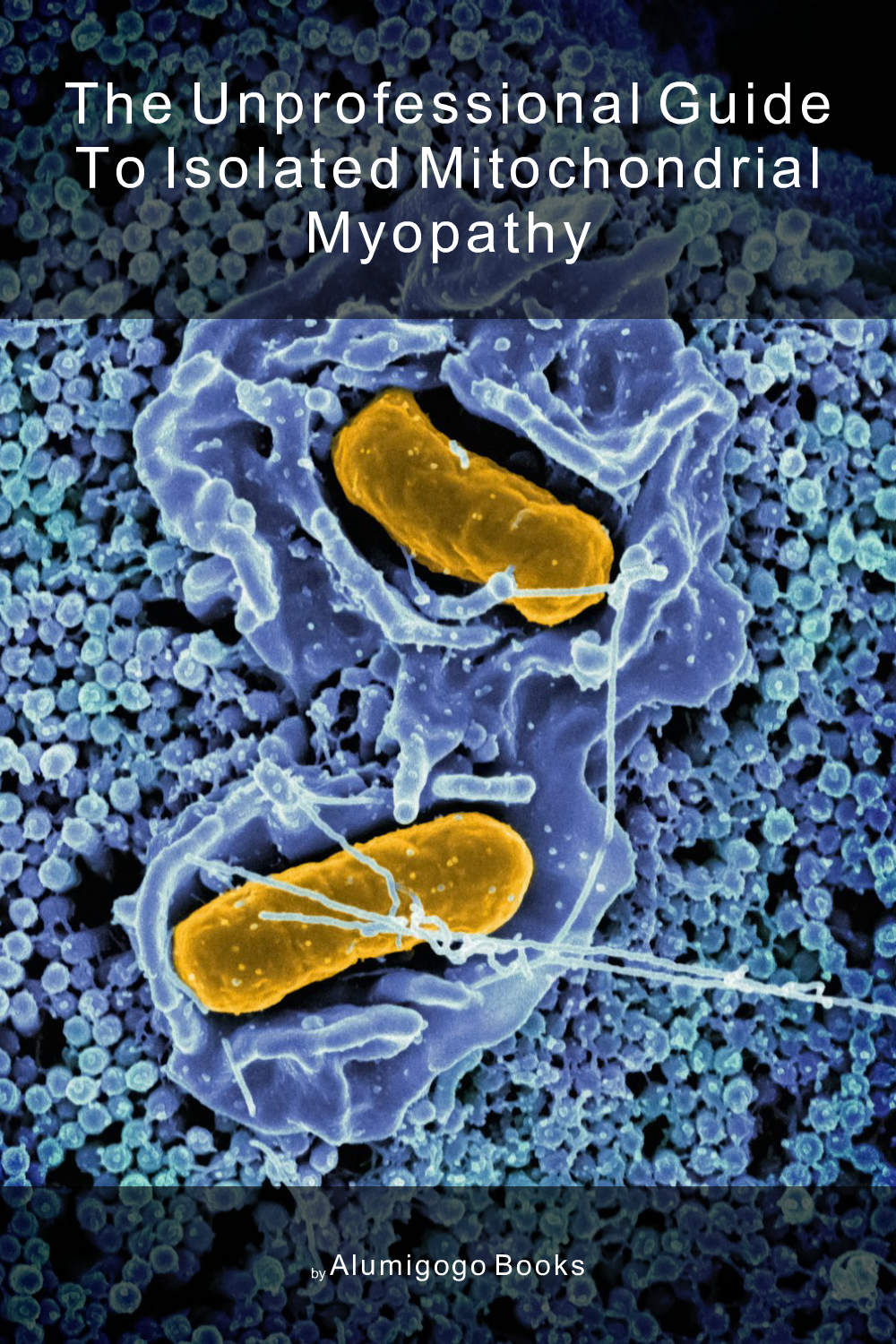Cover of The Unprofessional Guide to isolated mitochondrial myopathy
