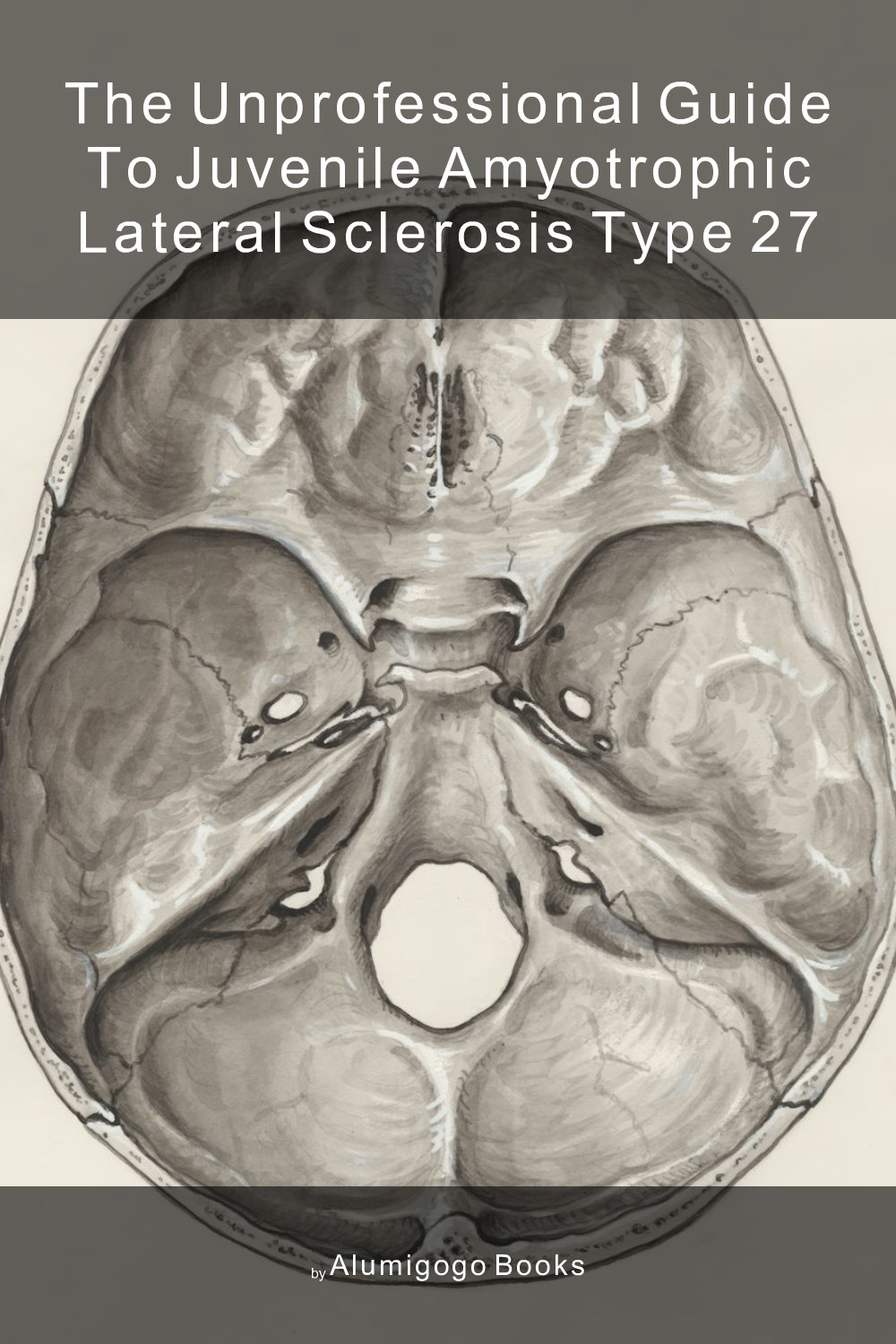 Cover of The Unprofessional Guide to juvenile amyotrophic lateral sclerosis type 27