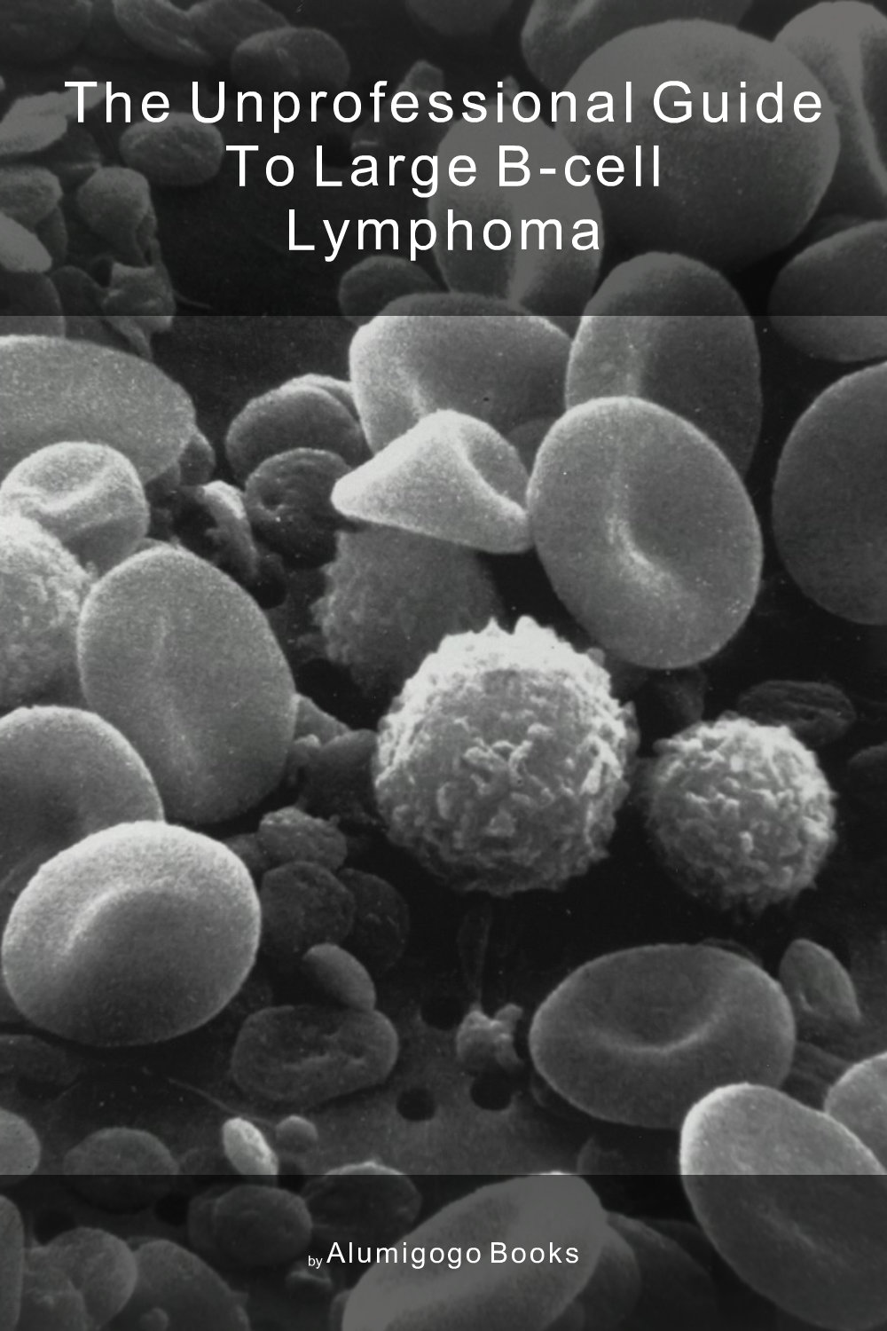 Cover of The Unprofessional Guide to large B-cell lymphoma