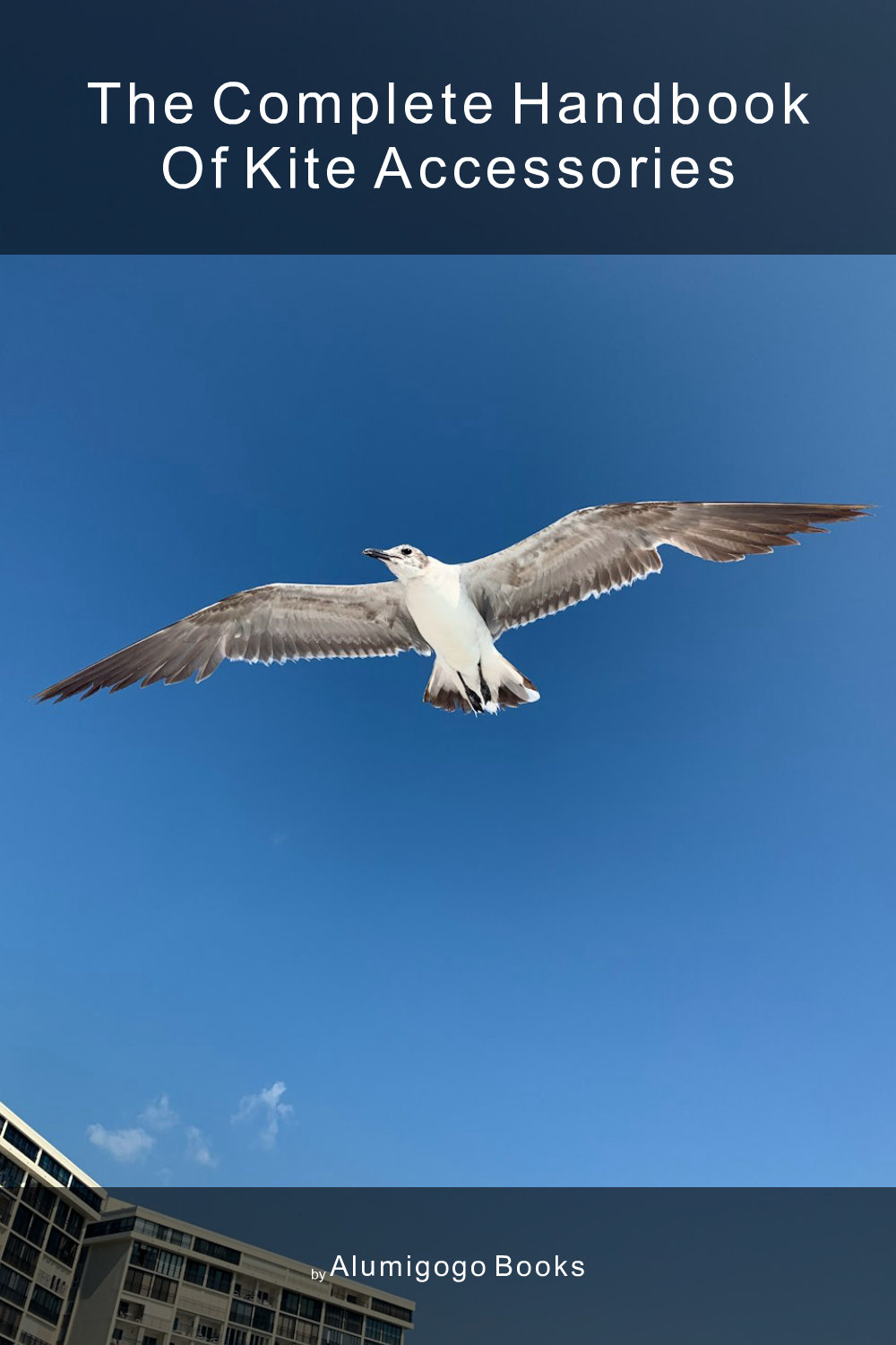 Cover of The Complete Handbook of Kite Accessories