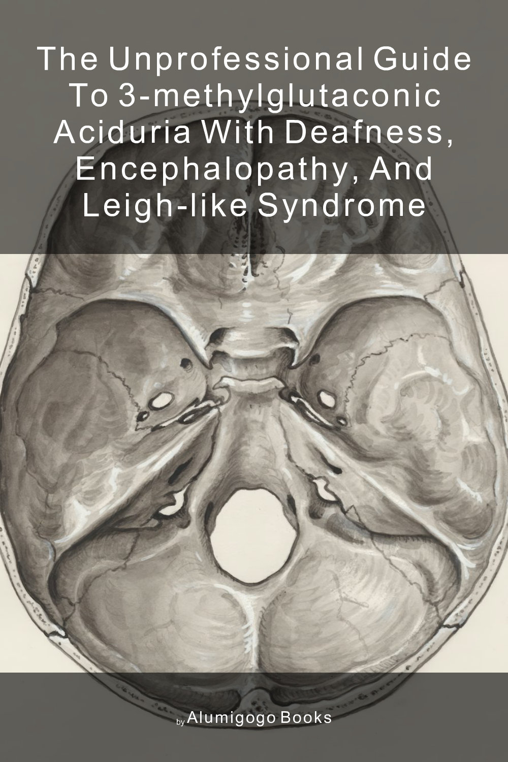 Cover of The Unprofessional Guide to 3-methylglutaconic aciduria with deafness, encephalopathy, and Leigh-like syndrome