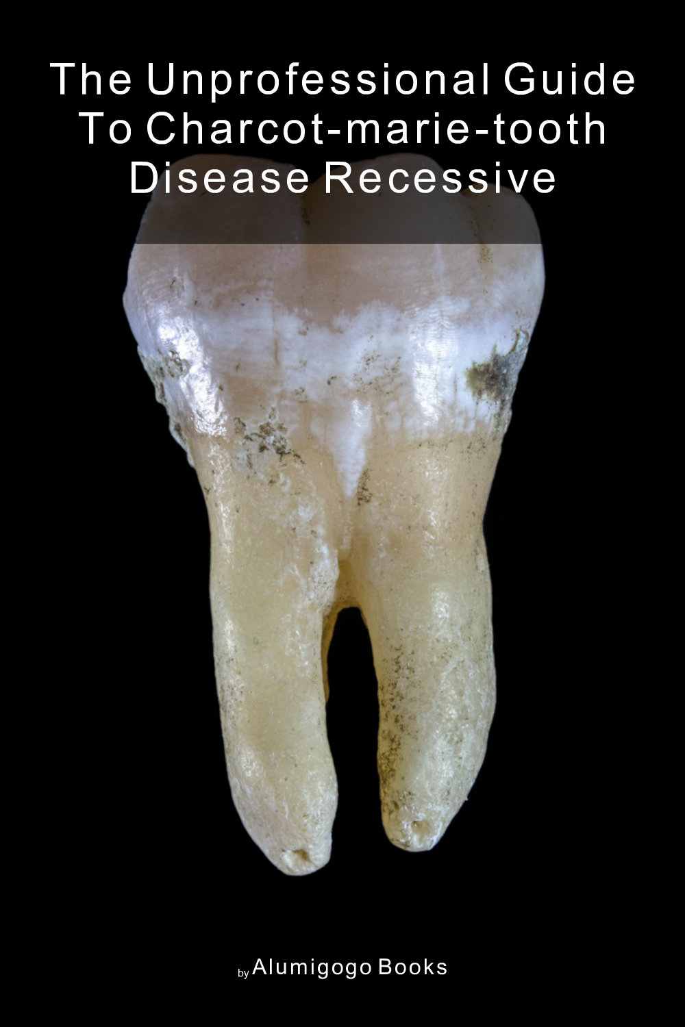 Cover of The Unprofessional Guide to Charcot-Marie-Tooth disease recessive