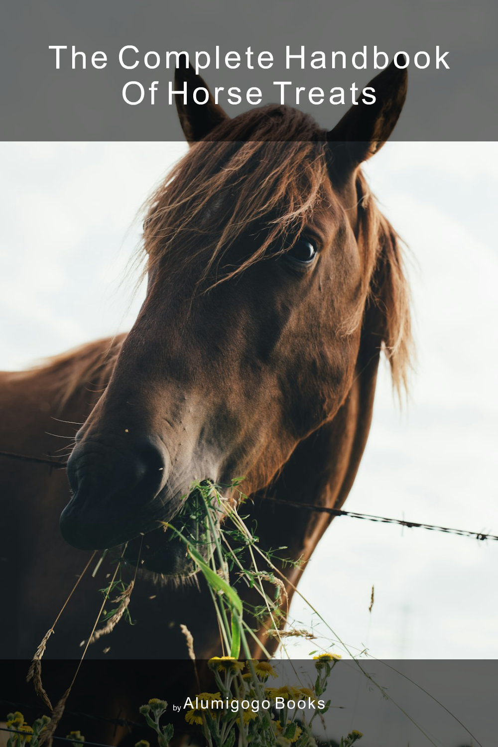 Cover of The Complete Handbook of Horse Treats