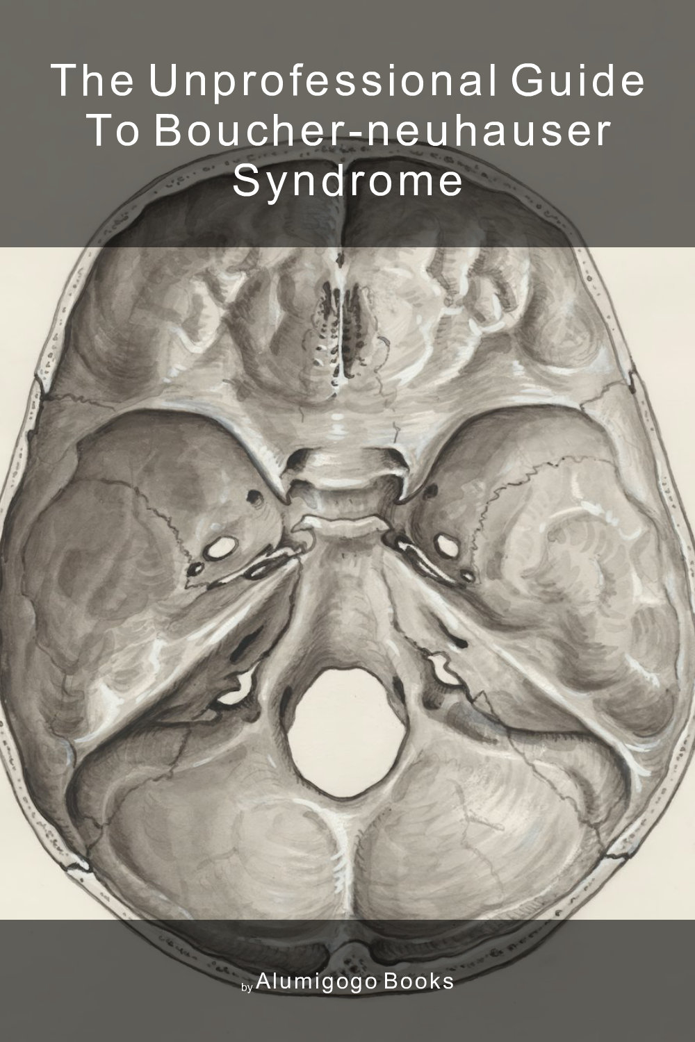 Cover of The Unprofessional Guide to Boucher-Neuhauser syndrome