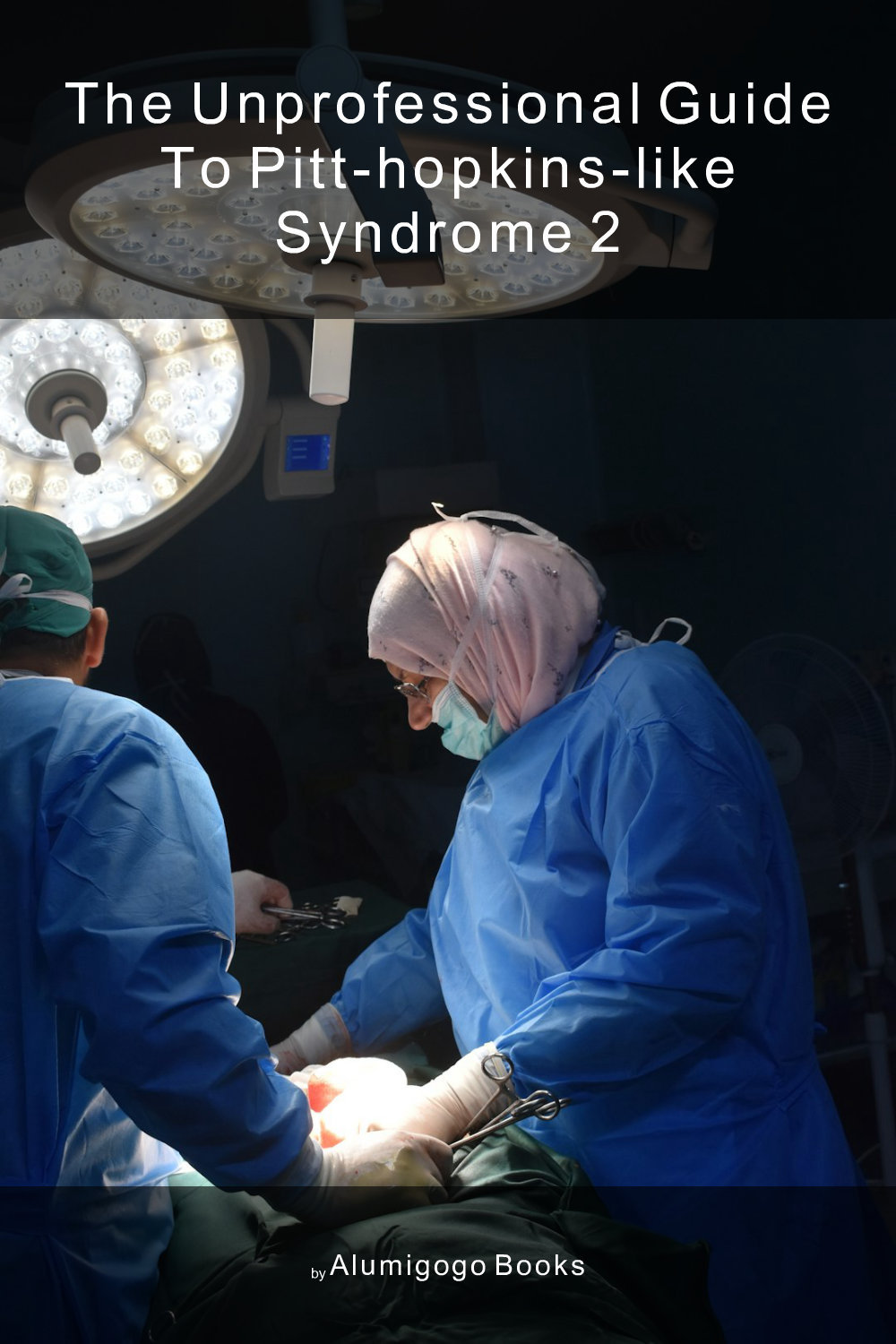 Cover of The Unprofessional Guide to Pitt-Hopkins-like syndrome 2