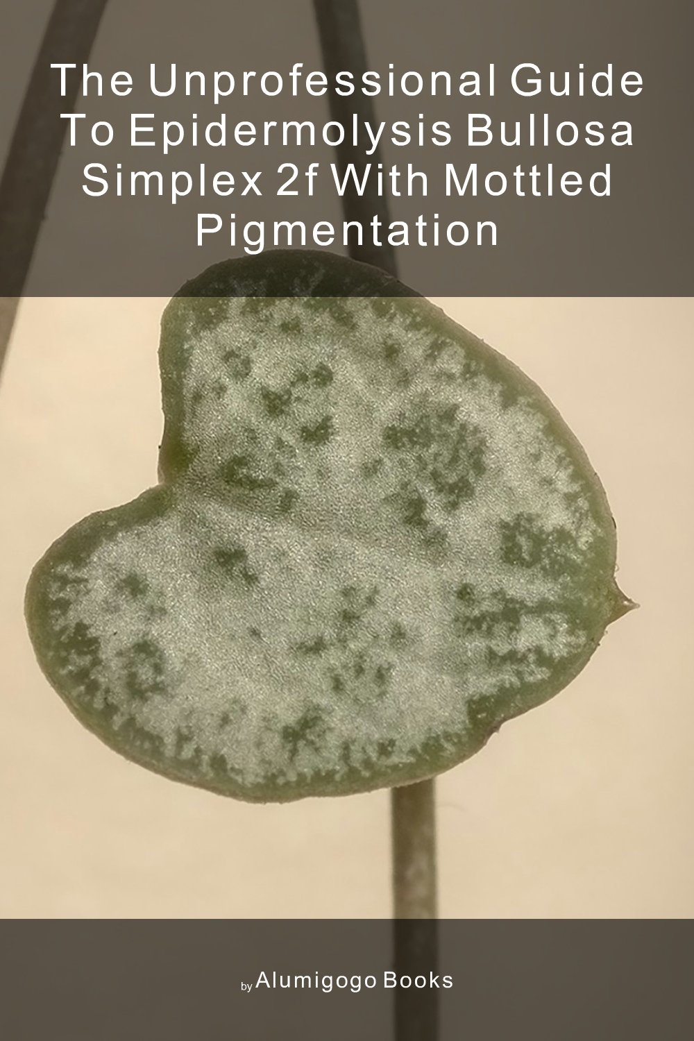 Cover of The Unprofessional Guide to epidermolysis bullosa simplex 2F with mottled pigmentation