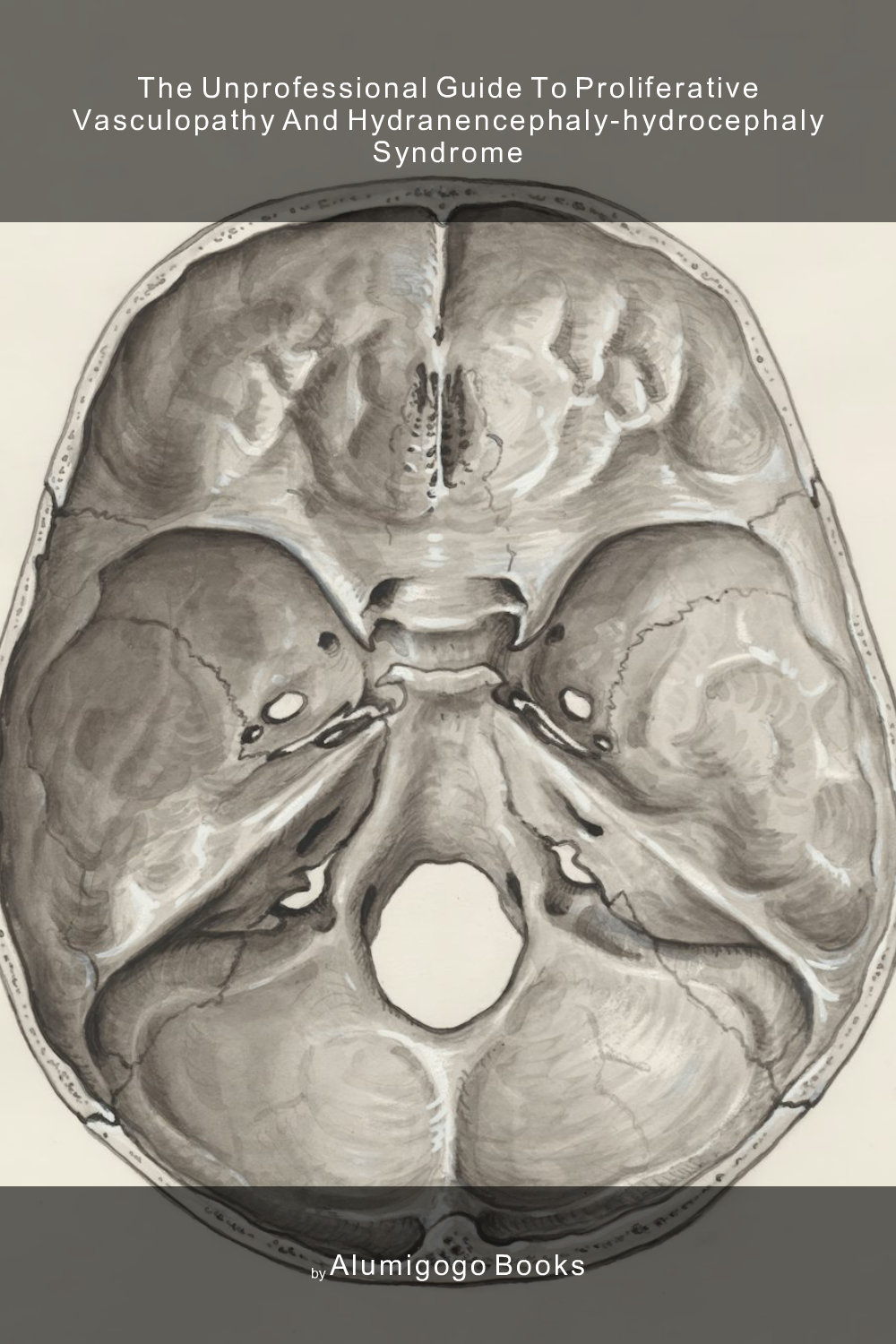 Cover of The Unprofessional Guide to proliferative vasculopathy and hydranencephaly-hydrocephaly syndrome