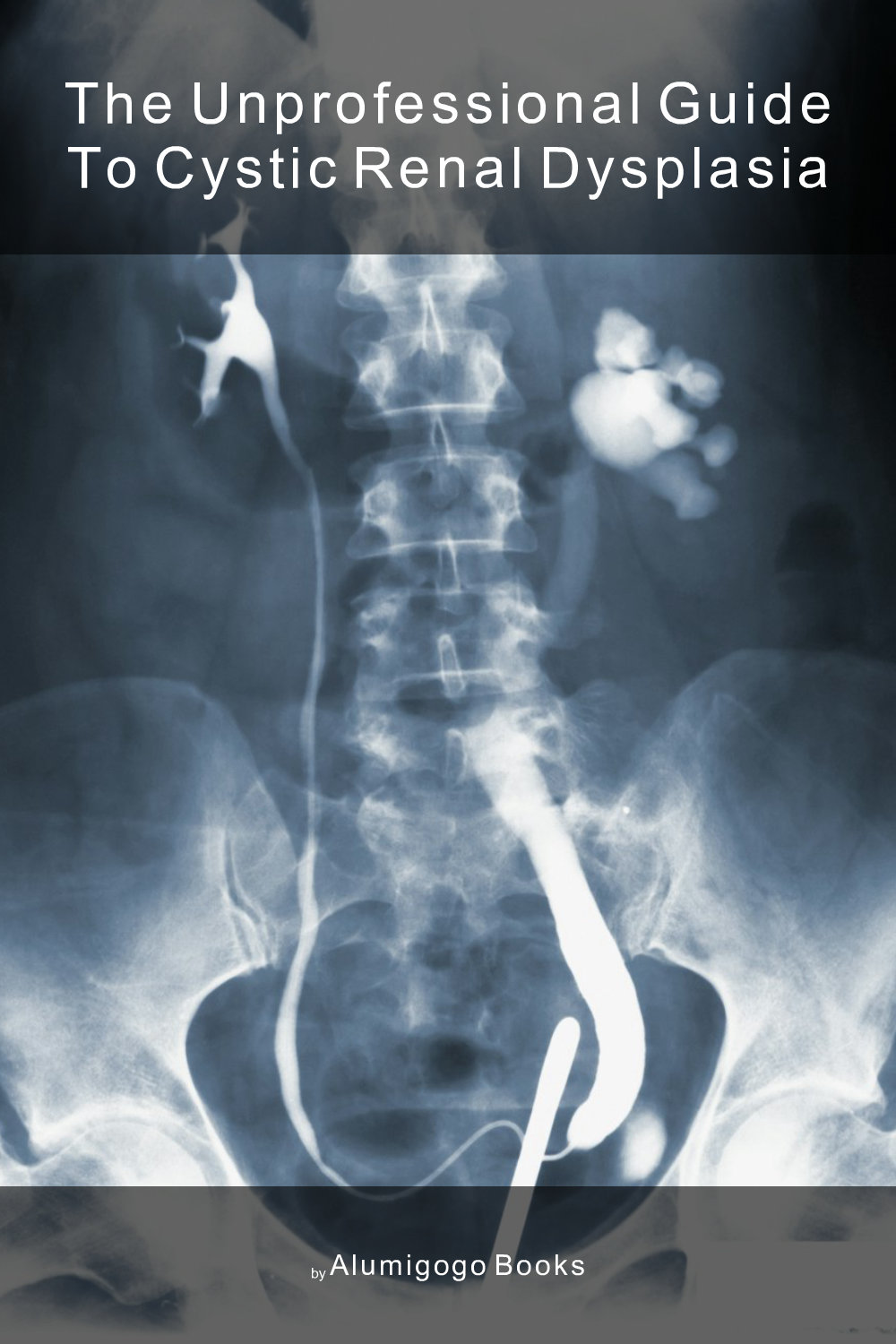 Cover of The Unprofessional Guide to cystic renal dysplasia