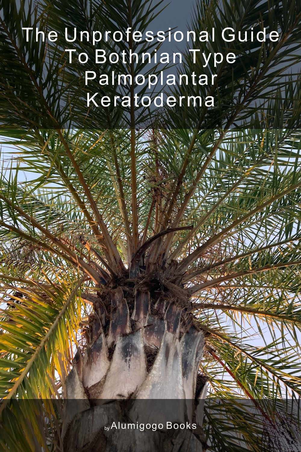 Cover of The Unprofessional Guide to Bothnian type palmoplantar keratoderma