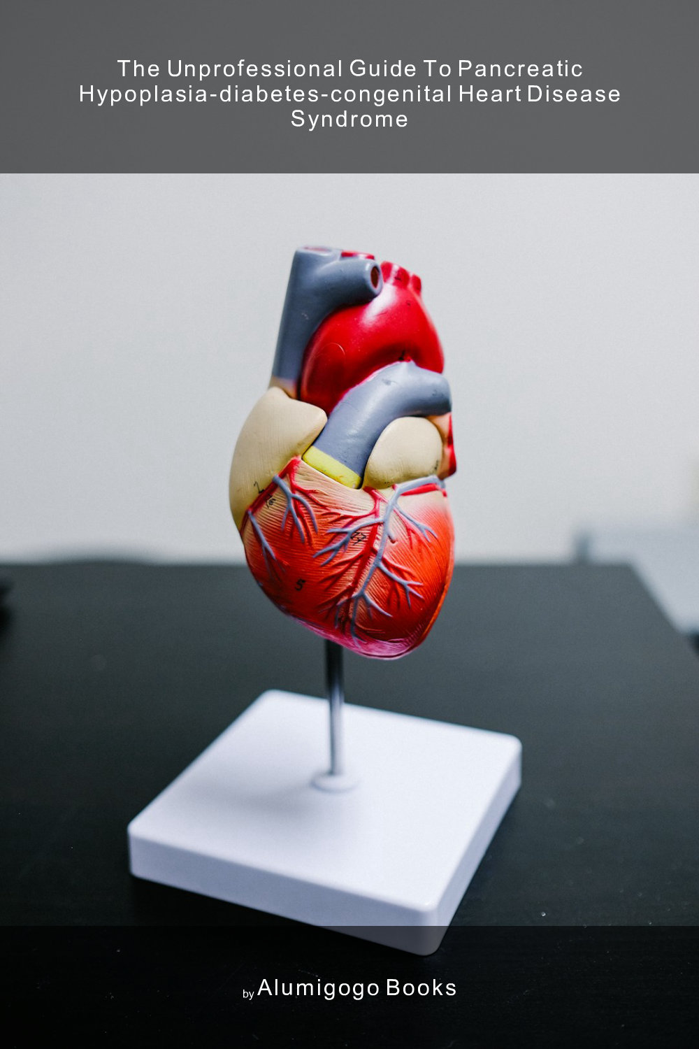 Cover of The Unprofessional Guide to pancreatic hypoplasia-diabetes-congenital heart disease syndrome