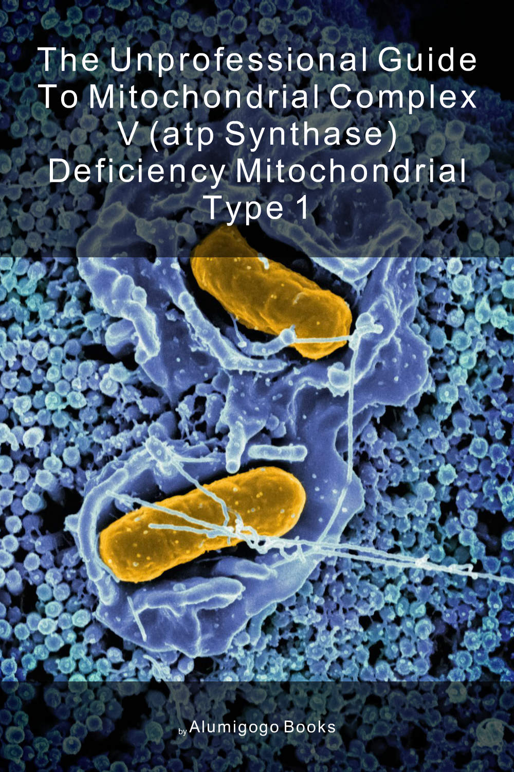 Cover of The Unprofessional Guide to mitochondrial complex V (ATP synthase) deficiency mitochondrial type 1