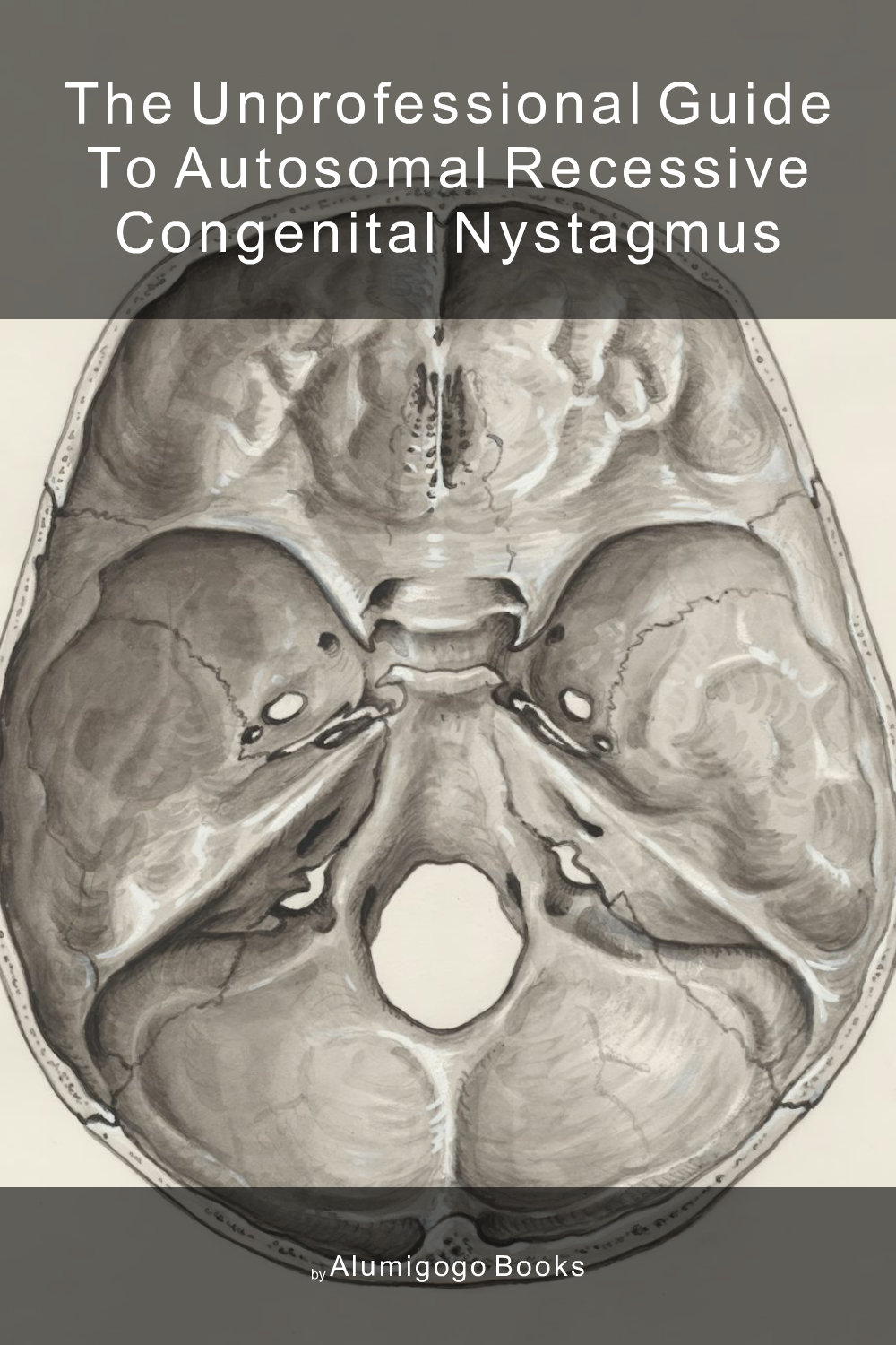 Cover of The Unprofessional Guide to autosomal recessive congenital nystagmus