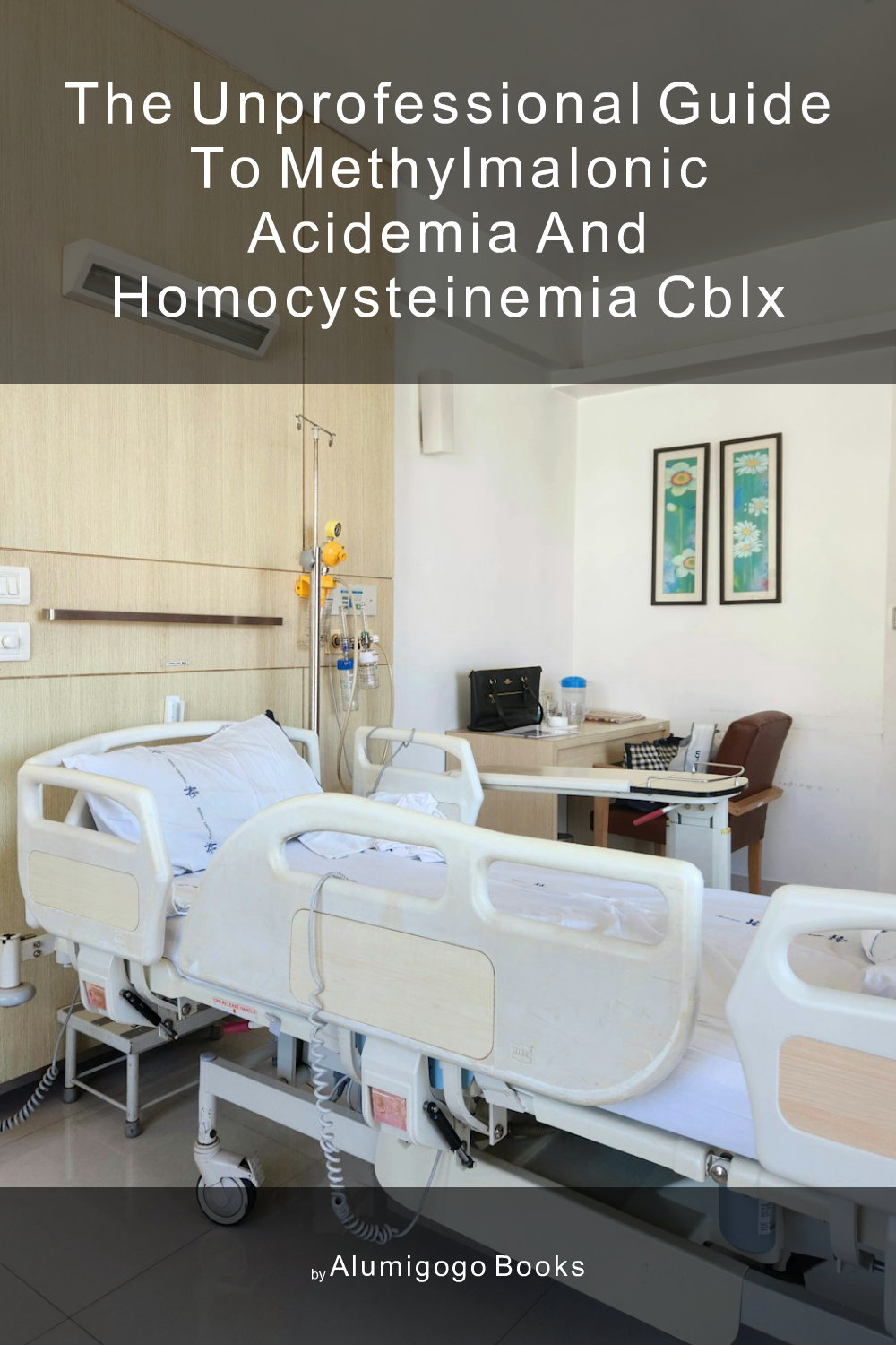 Cover of The Unprofessional Guide to methylmalonic acidemia and homocysteinemia cblX