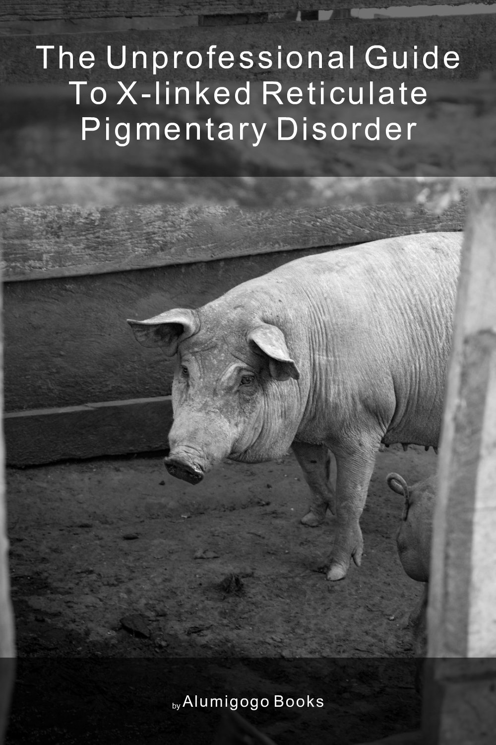 Cover of The Unprofessional Guide to X-linked reticulate pigmentary disorder