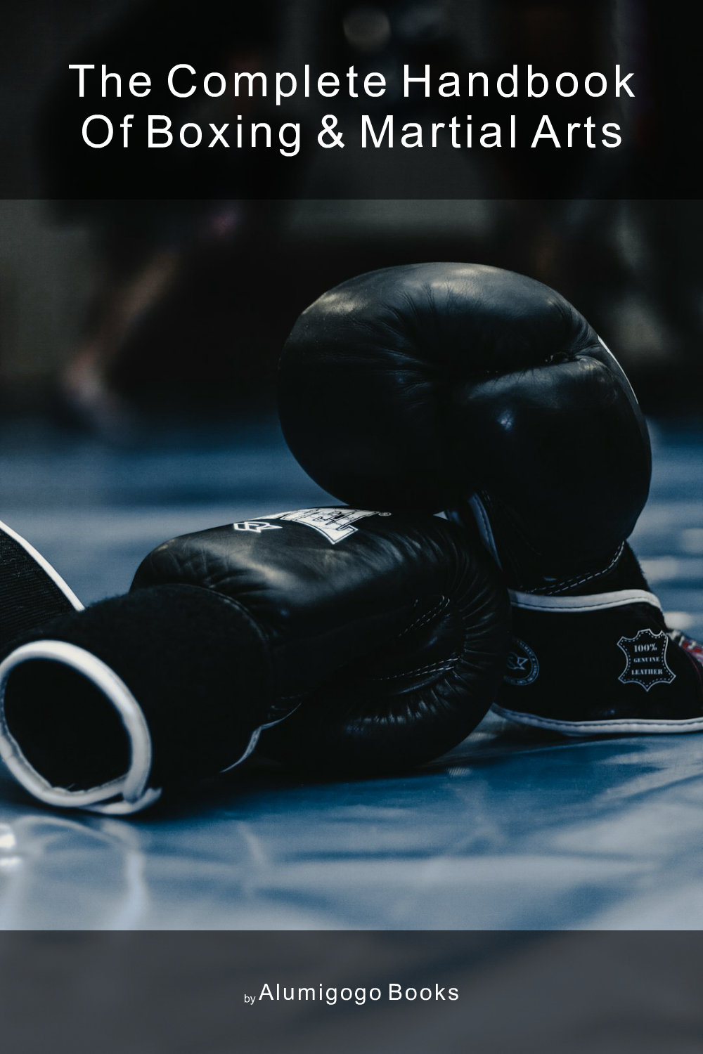 Cover of The Complete Handbook of Boxing & Martial Arts