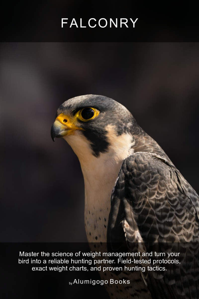 Cover of Falconry