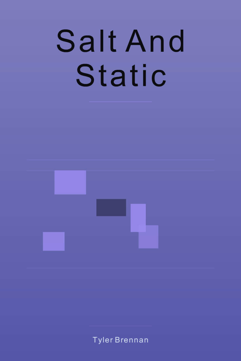 Cover of Salt and Static