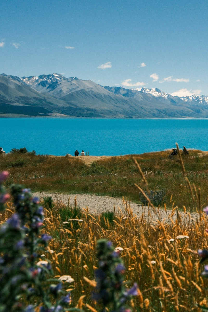 Wall Poster - Alpine Lake in New Zealand