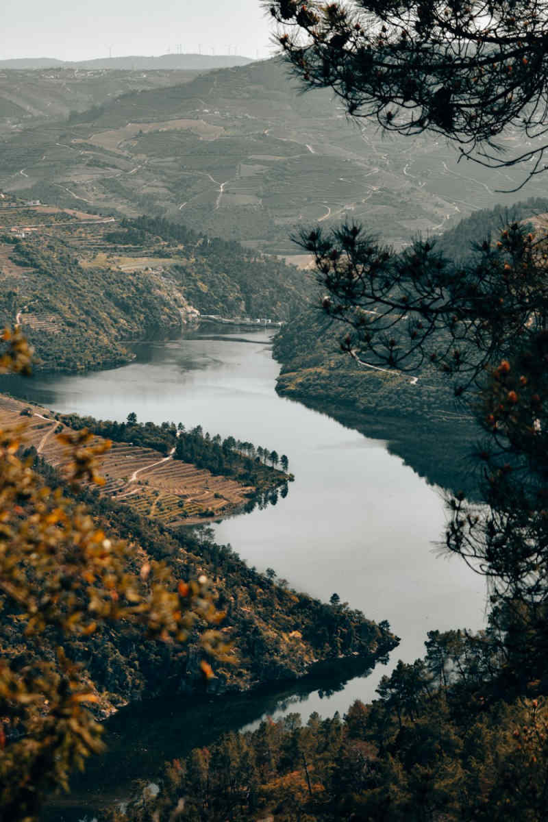 Wall Poster - Alpine Lake in the Douro Valley