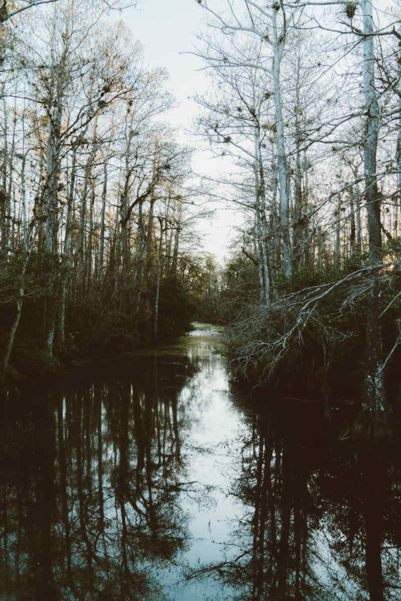 Wall Poster - Alpine Lake in the Everglades