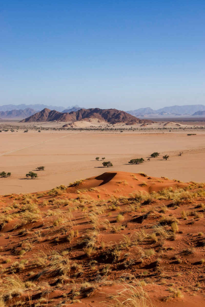 Wall Poster - Alpine Lake in the Namib Desert