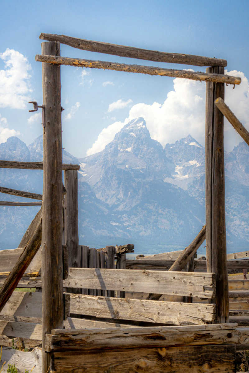 Wall Poster - Ancient Ruins in the Grand Tetons