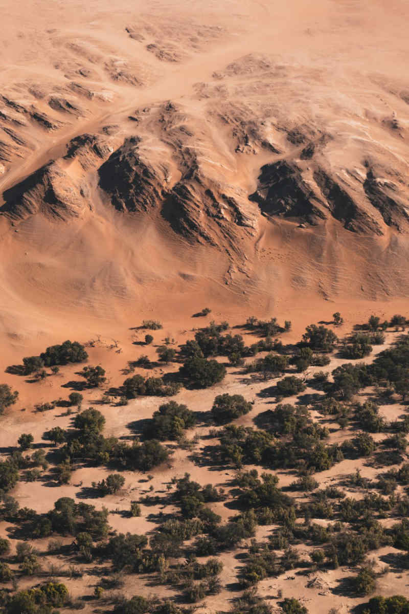 Wall Poster - Ancient Ruins in the Namib Desert
