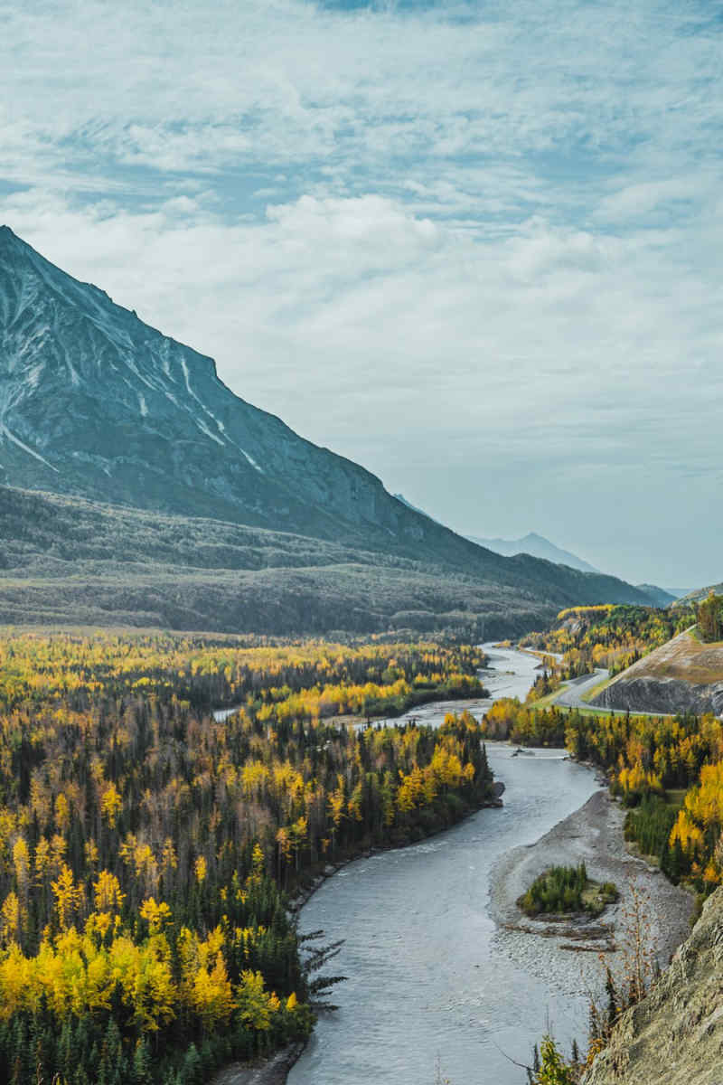 Wall Poster - Autumn Forest in Alaska